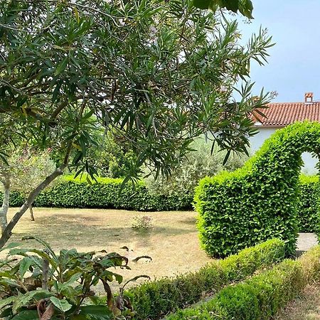 Valica Gardens Villa Savudrija Bagian luar foto